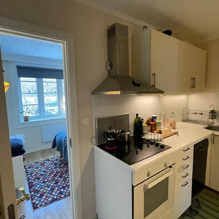 Cozy Close To The Center * Осло