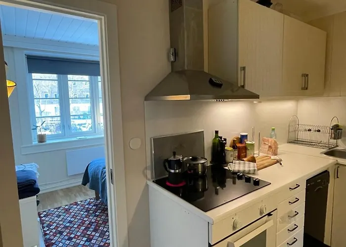 Cozy Close To The Center * Oslo